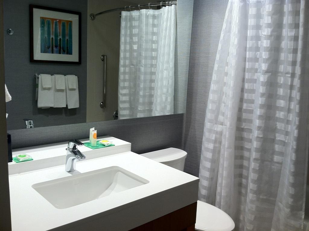 Hyatt Place Detroit/נובי חדר תמונה