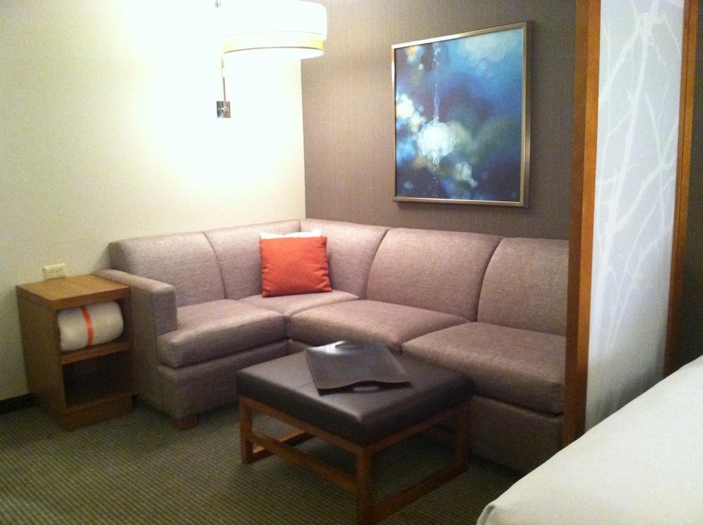 Hyatt Place Detroit/נובי חדר תמונה